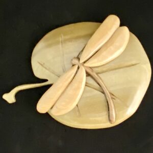 Dragonfly on Lilly Pad